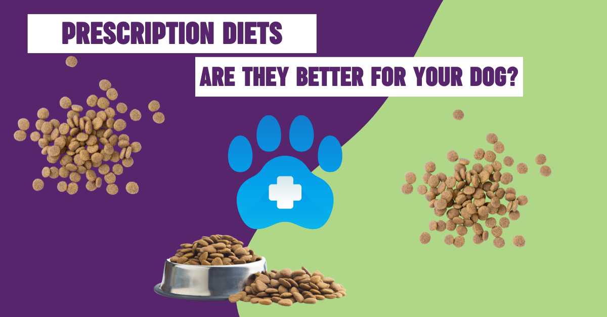 Veterinary online prescription diets